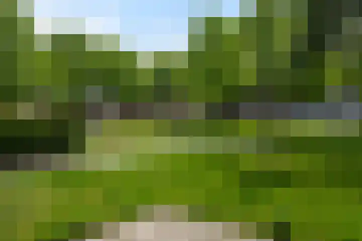 Utrechtlaan 81 Vlaardingen thumbnail 31