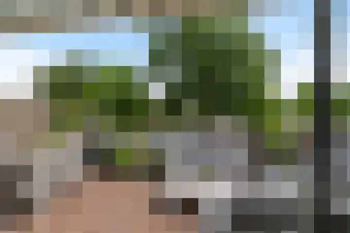 Utrechtlaan 81 Vlaardingen thumbnail 4