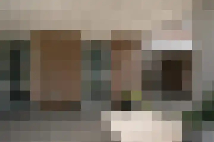 Utrechtlaan 81 Vlaardingen thumbnail 7