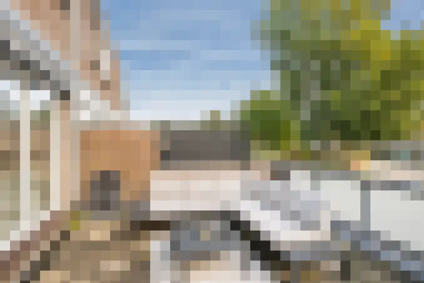 Utrechtlaan 91 Vlaardingen thumbnail 18
