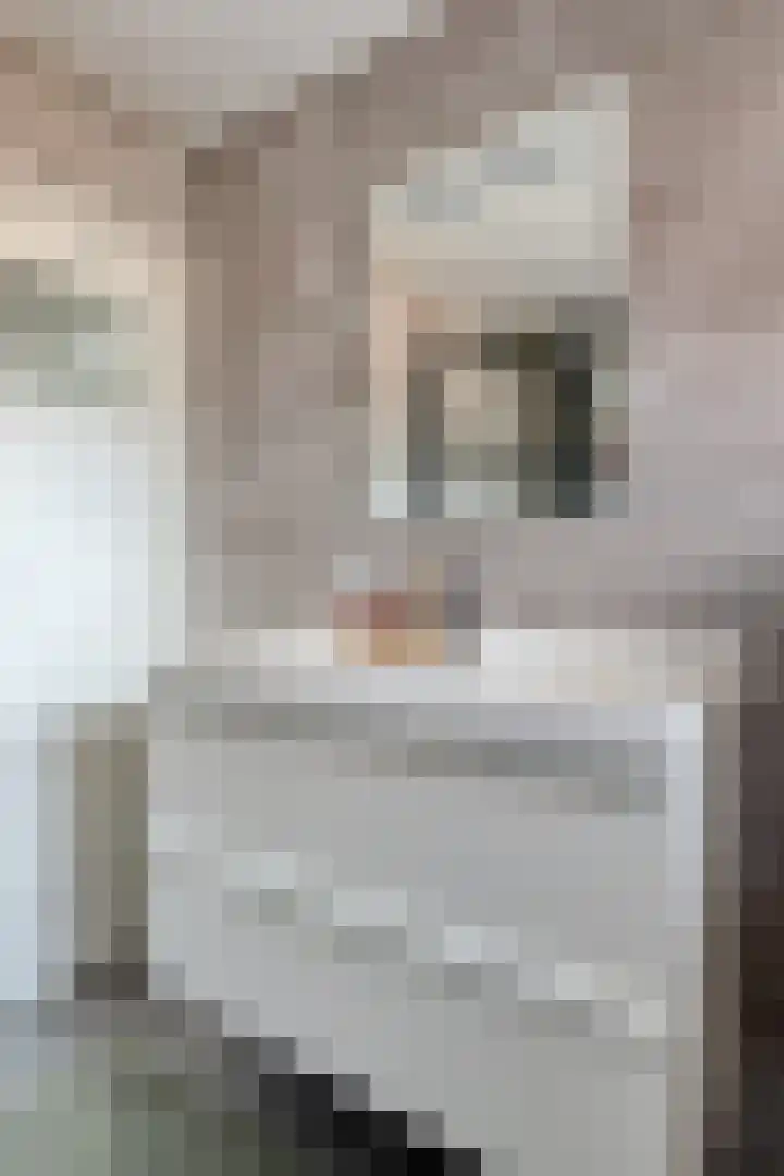 Utrechtplein 8 Helmond thumbnail 32