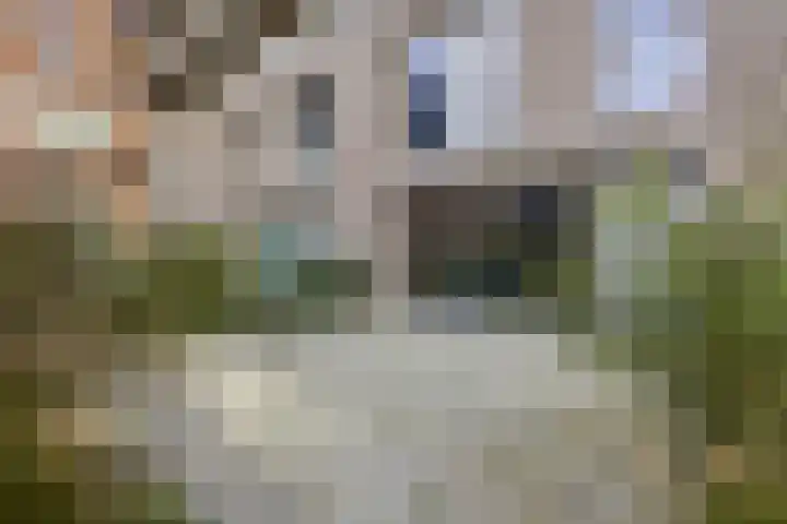 Utrechts Kindercomitéstraat 67 Utrecht thumbnail 42
