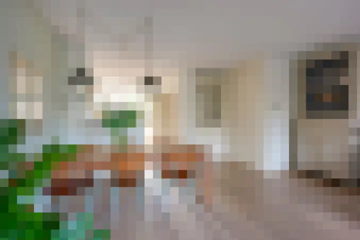 Utrechtse Heuvelrug 112 Vleuten thumbnail 16