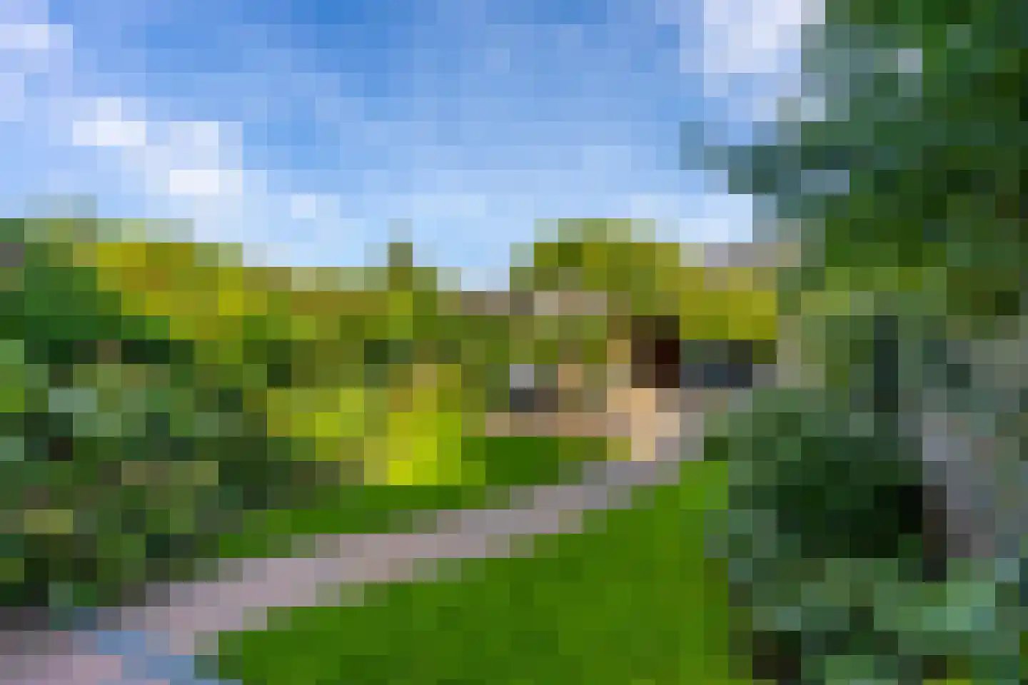 Utrechtse Heuvelrug 112 Vleuten thumbnail 28
