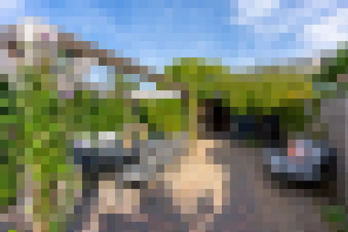 Utrechtse Heuvelrug 112 Vleuten thumbnail 29