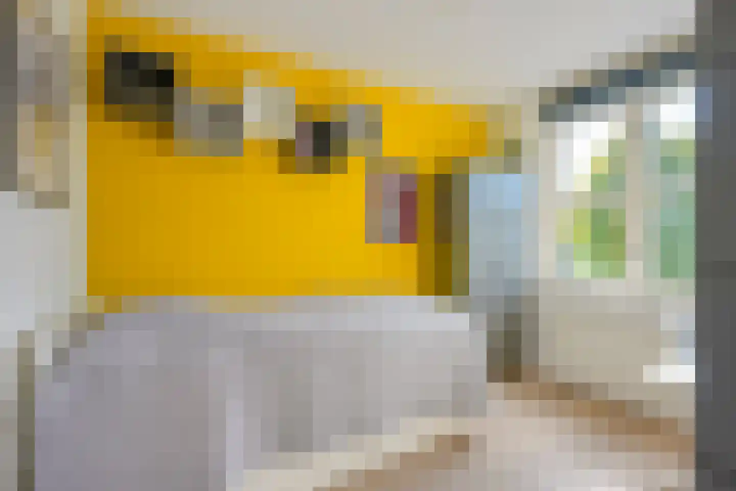 Utrechtse Heuvelrug 112 Vleuten thumbnail 43