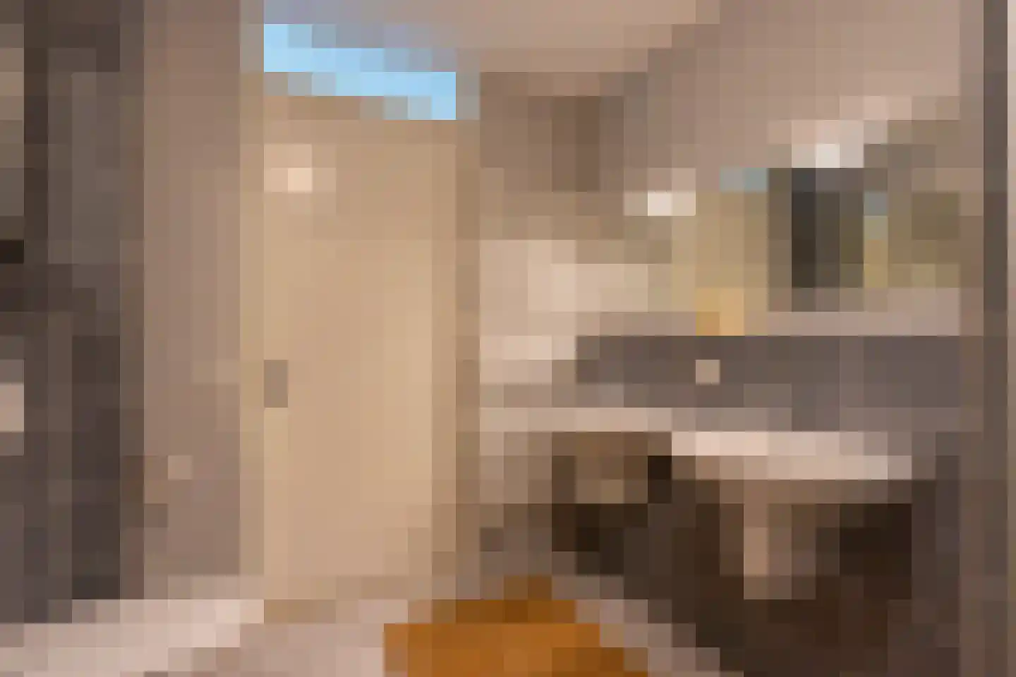 Utrechtse Heuvelrug 112 Vleuten thumbnail 48