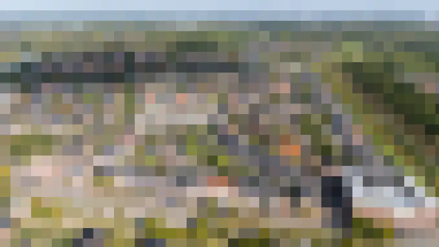 Utrechtse Heuvelrug 112 Vleuten thumbnail 61