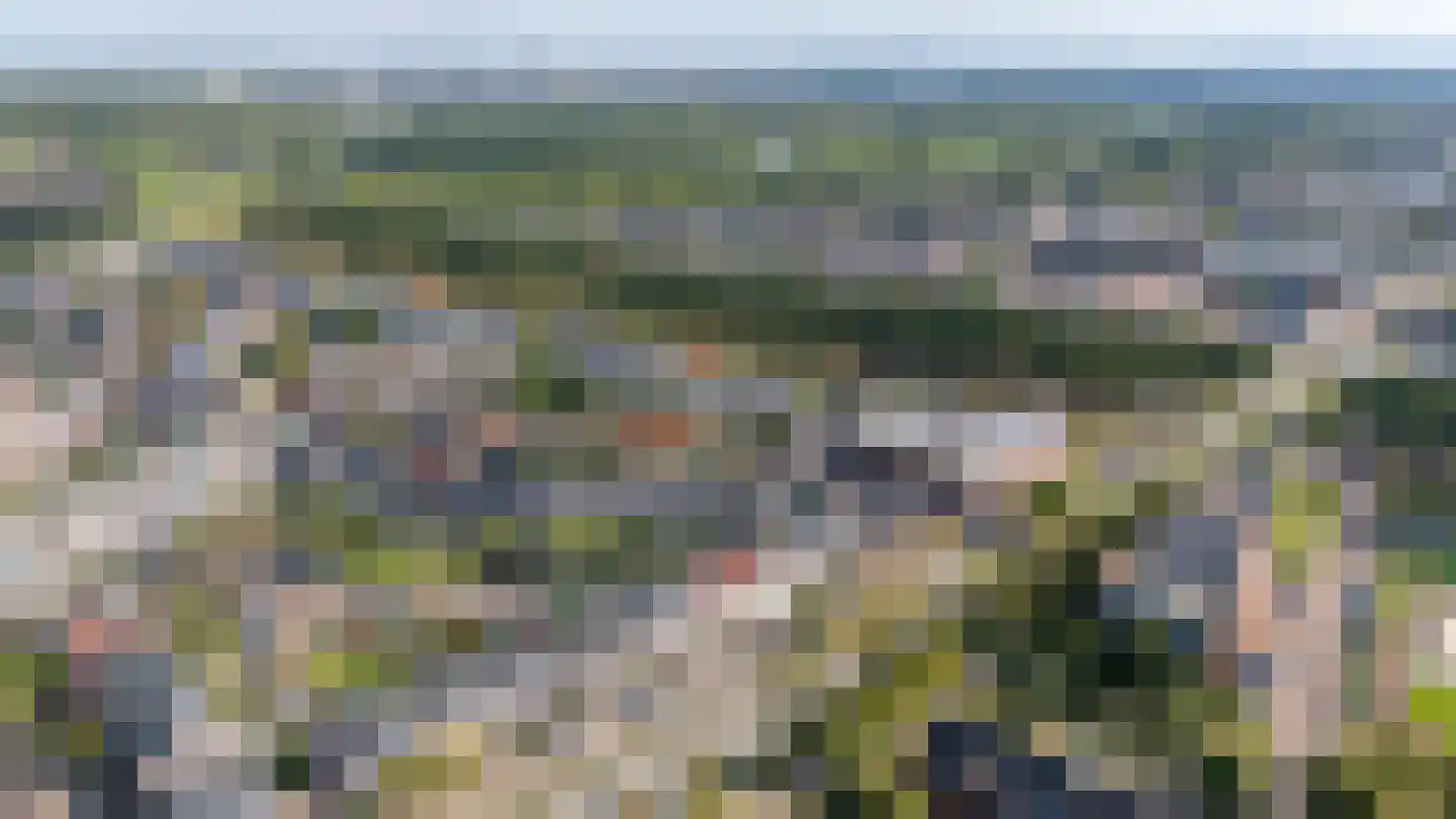 Utrechtse Heuvelrug 112 Vleuten thumbnail 62