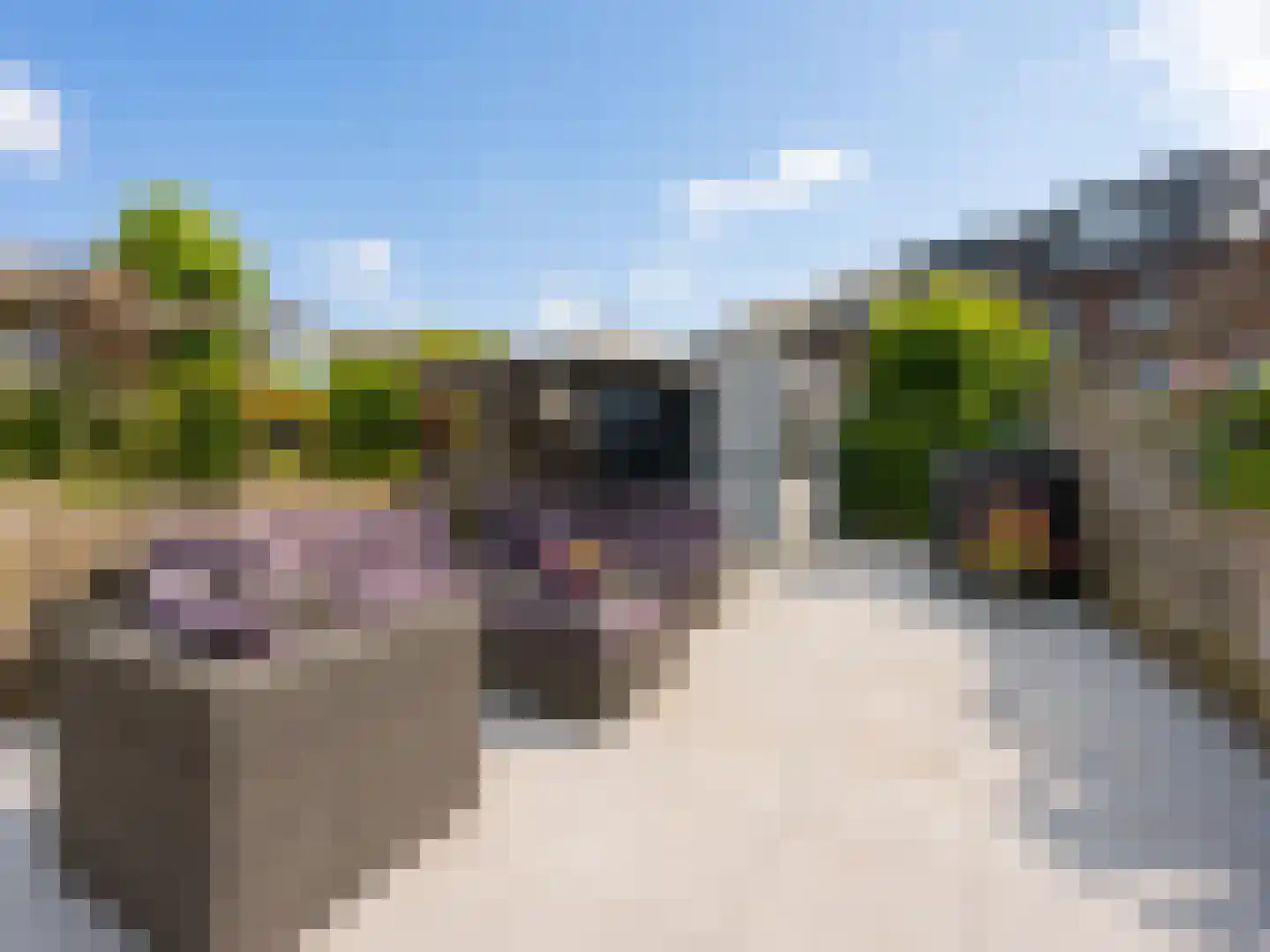 Utrechtse Heuvelrug 118 Vleuten thumbnail 28