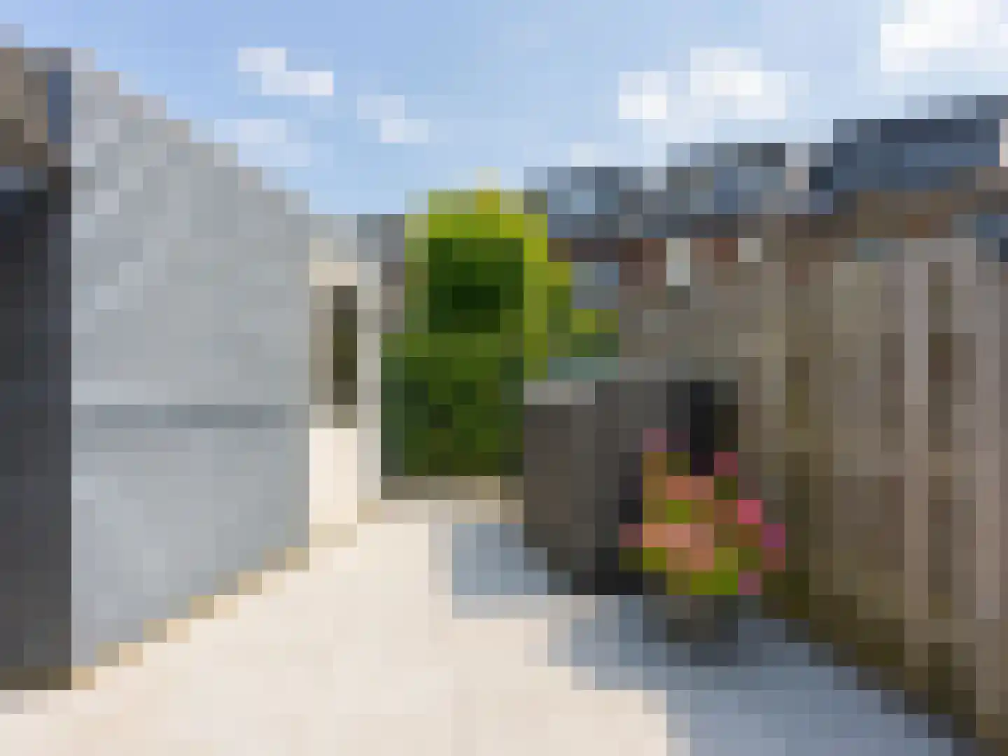 Utrechtse Heuvelrug 118 Vleuten thumbnail 29