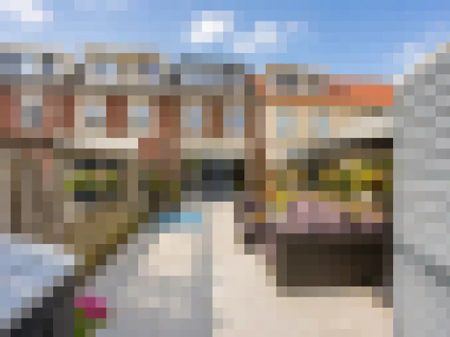 Utrechtse Heuvelrug 118 Vleuten thumbnail 31