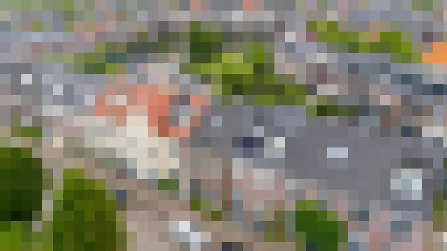Utrechtse Heuvelrug 118 Vleuten thumbnail 9