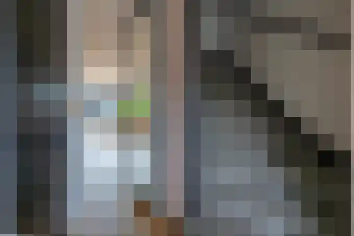 Utrechtse Heuvelrug 156 Vleuten thumbnail 12