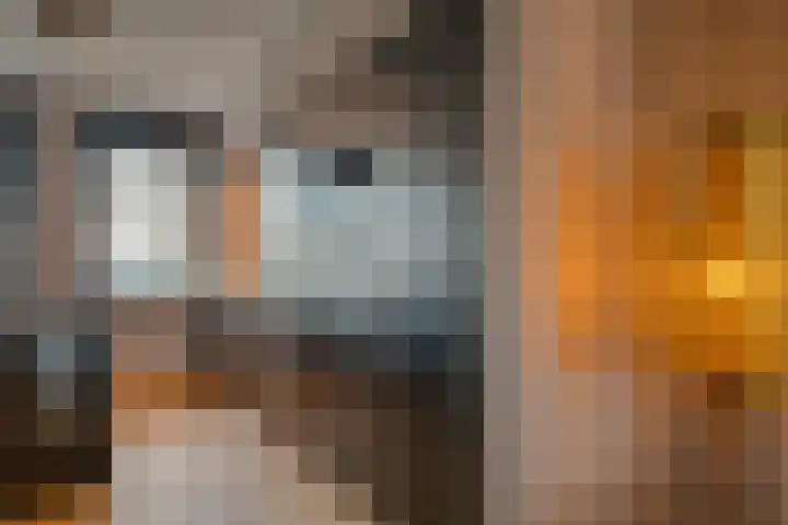 Utrechtse Heuvelrug 156 Vleuten thumbnail 18