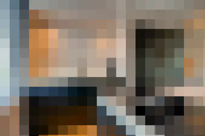 Utrechtse Heuvelrug 156 Vleuten thumbnail 20