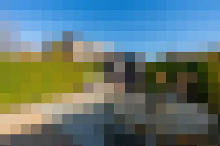 Utrechtse Heuvelrug 156 Vleuten thumbnail 25