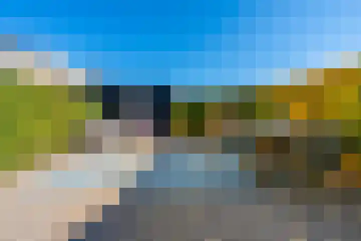 Utrechtse Heuvelrug 156 Vleuten thumbnail 26