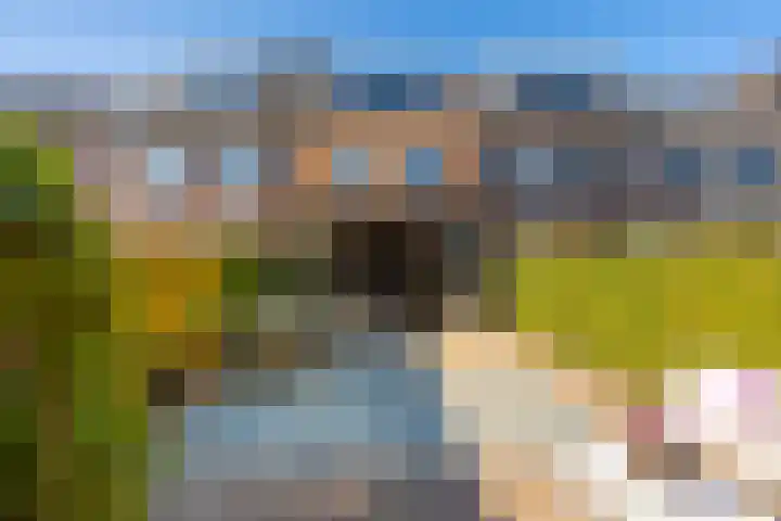 Utrechtse Heuvelrug 156 Vleuten thumbnail 27