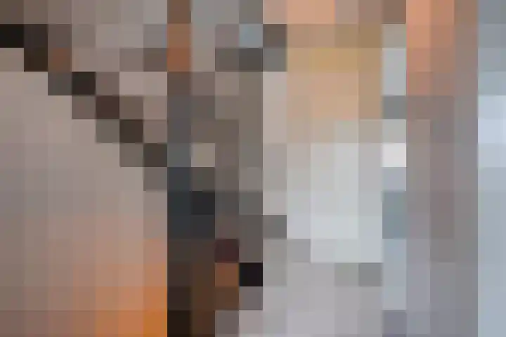 Utrechtse Heuvelrug 156 Vleuten thumbnail 32
