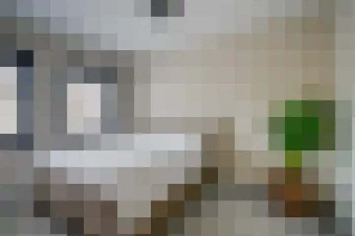 Utrechtse Heuvelrug 156 Vleuten thumbnail 33