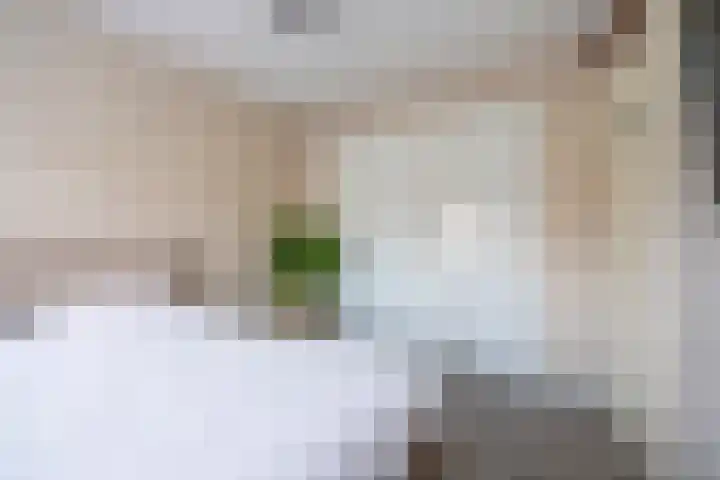 Utrechtse Heuvelrug 156 Vleuten thumbnail 35