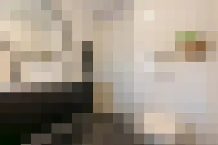 Utrechtse Heuvelrug 156 Vleuten thumbnail 43