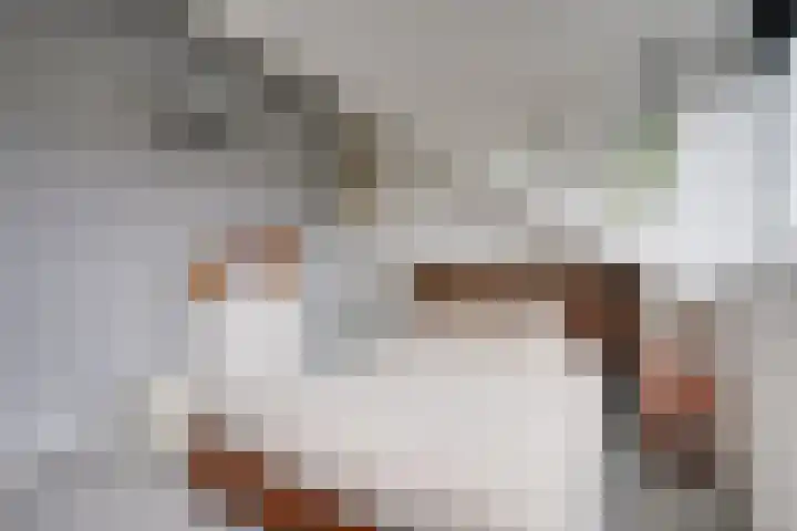 Utrechtse Heuvelrug 156 Vleuten thumbnail 46