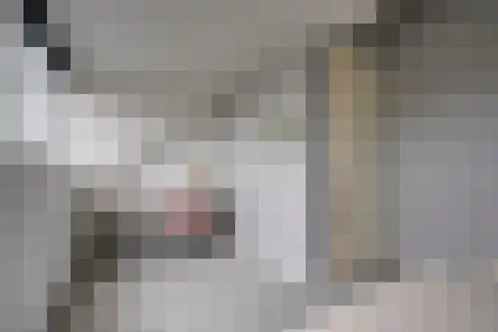 Utrechtse Heuvelrug 156 Vleuten thumbnail 47
