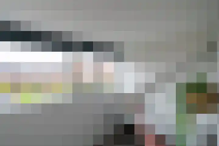 Utrechtse Heuvelrug 156 Vleuten thumbnail 48