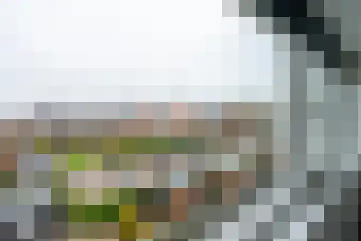 Utrechtse Heuvelrug 156 Vleuten thumbnail 49