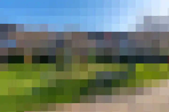 Utrechtse Heuvelrug 156 Vleuten thumbnail 63