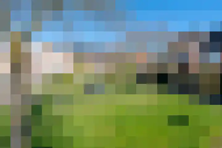 Utrechtse Heuvelrug 156 Vleuten thumbnail 64
