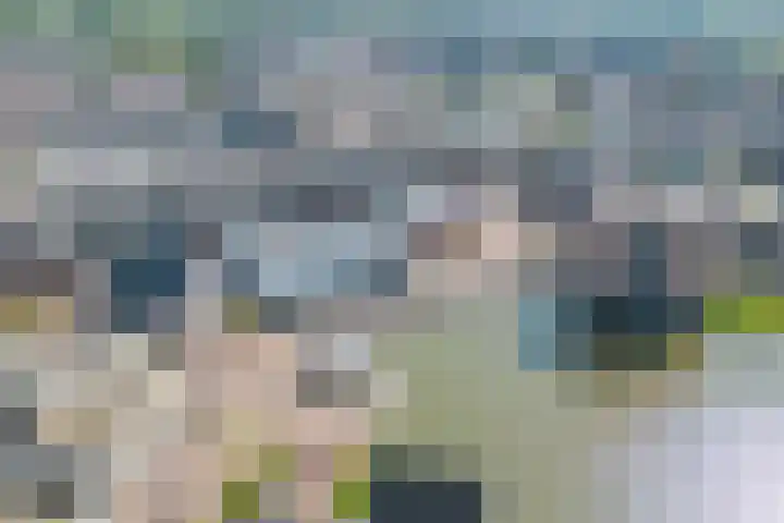 Utrechtse Heuvelrug 156 Vleuten thumbnail 65