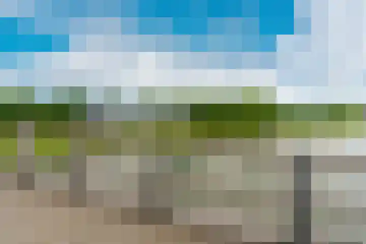 Utrechtse Heuvelrug 156 Vleuten thumbnail 70