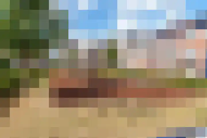 Utrechtse Heuvelrug 156 Vleuten thumbnail 72
