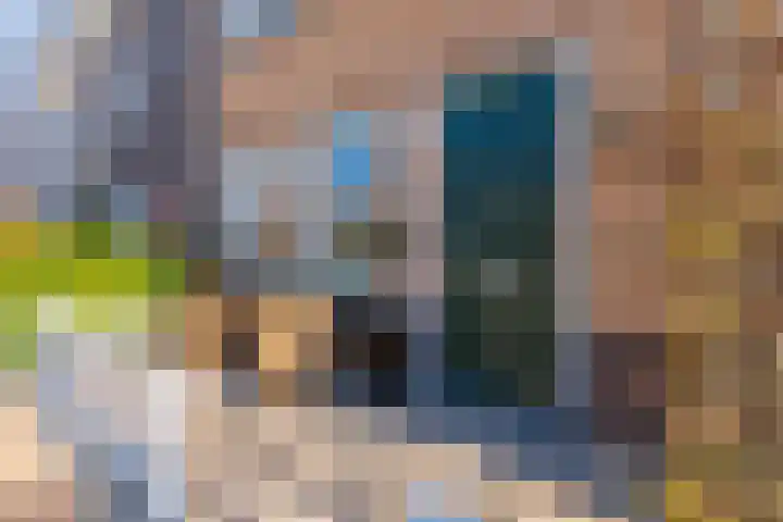 Utrechtse Heuvelrug 156 Vleuten thumbnail 9
