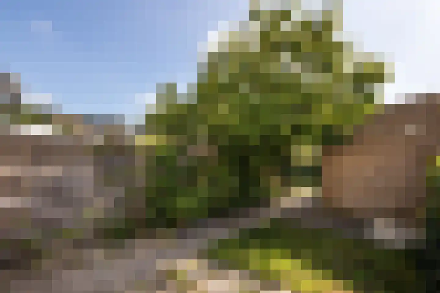 Utrechtse Heuvelrug 20 Vleuten thumbnail 19