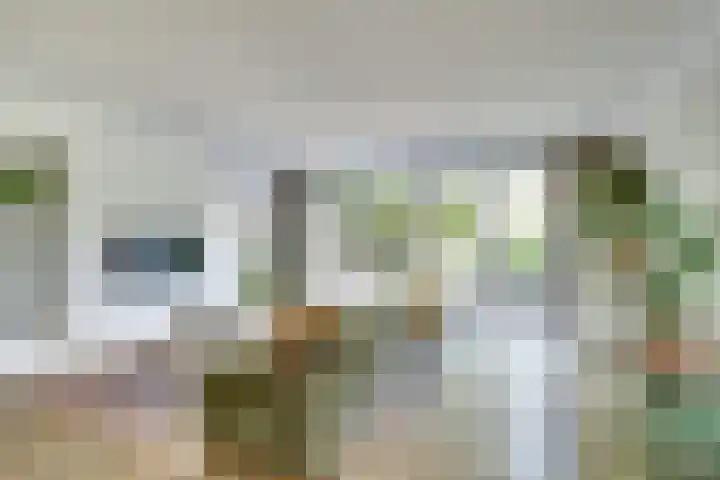 Utrechtse Heuvelrug 278 Vleuten thumbnail 12