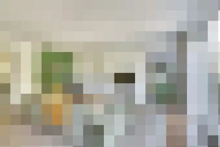 Utrechtse Heuvelrug 278 Vleuten thumbnail 13