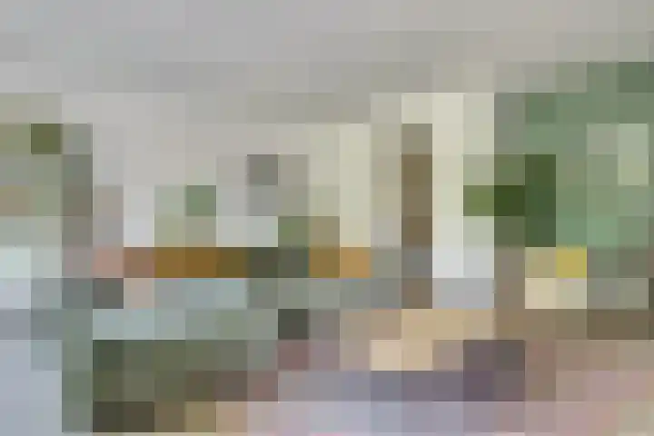 Utrechtse Heuvelrug 278 Vleuten thumbnail 14