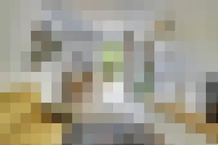Utrechtse Heuvelrug 278 Vleuten thumbnail 16