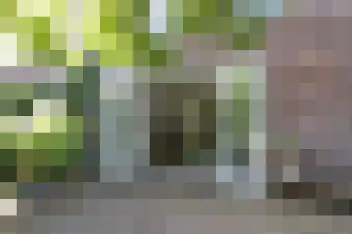 Utrechtse Heuvelrug 278 Vleuten thumbnail 18