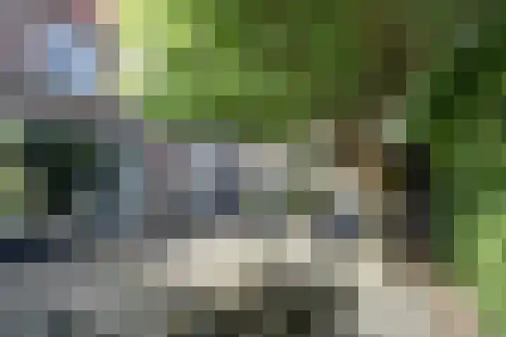 Utrechtse Heuvelrug 278 Vleuten thumbnail 19