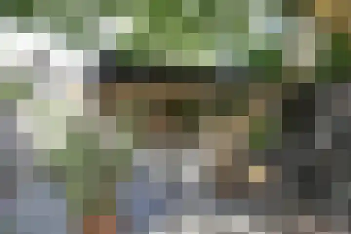Utrechtse Heuvelrug 278 Vleuten thumbnail 20