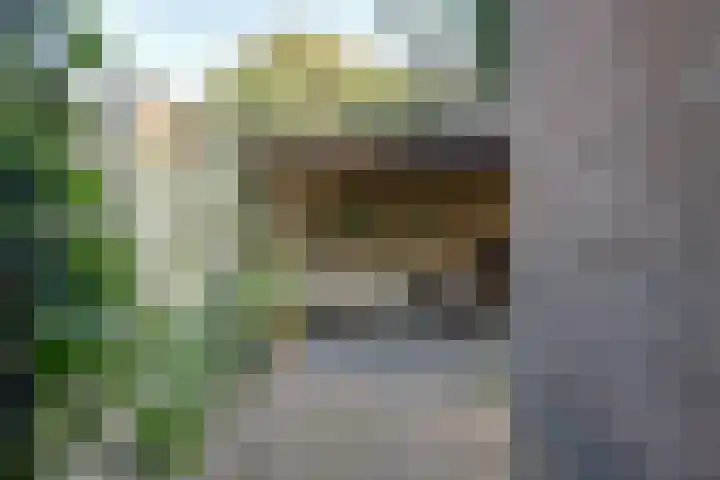 Utrechtse Heuvelrug 278 Vleuten thumbnail 21