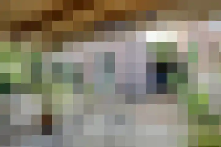 Utrechtse Heuvelrug 278 Vleuten thumbnail 22