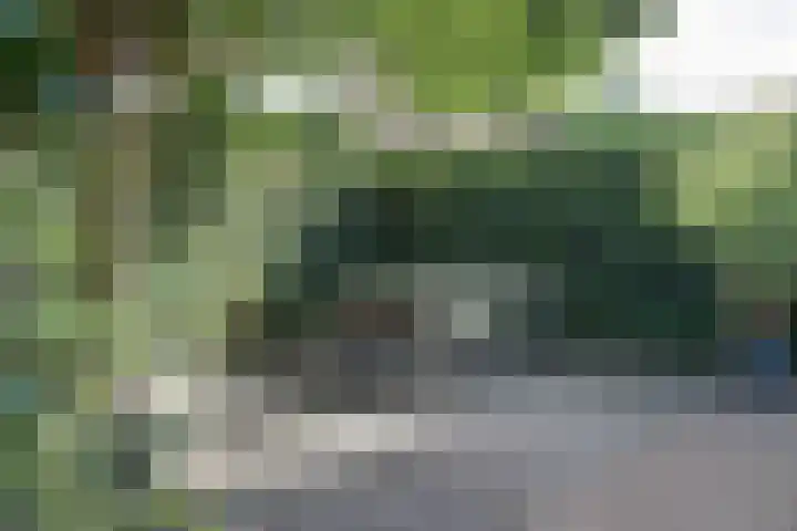 Utrechtse Heuvelrug 278 Vleuten thumbnail 23