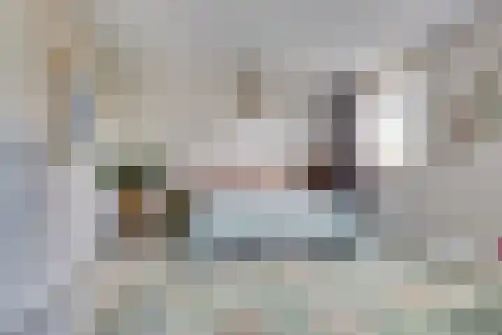 Utrechtse Heuvelrug 278 Vleuten thumbnail 28