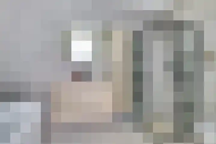 Utrechtse Heuvelrug 278 Vleuten thumbnail 30